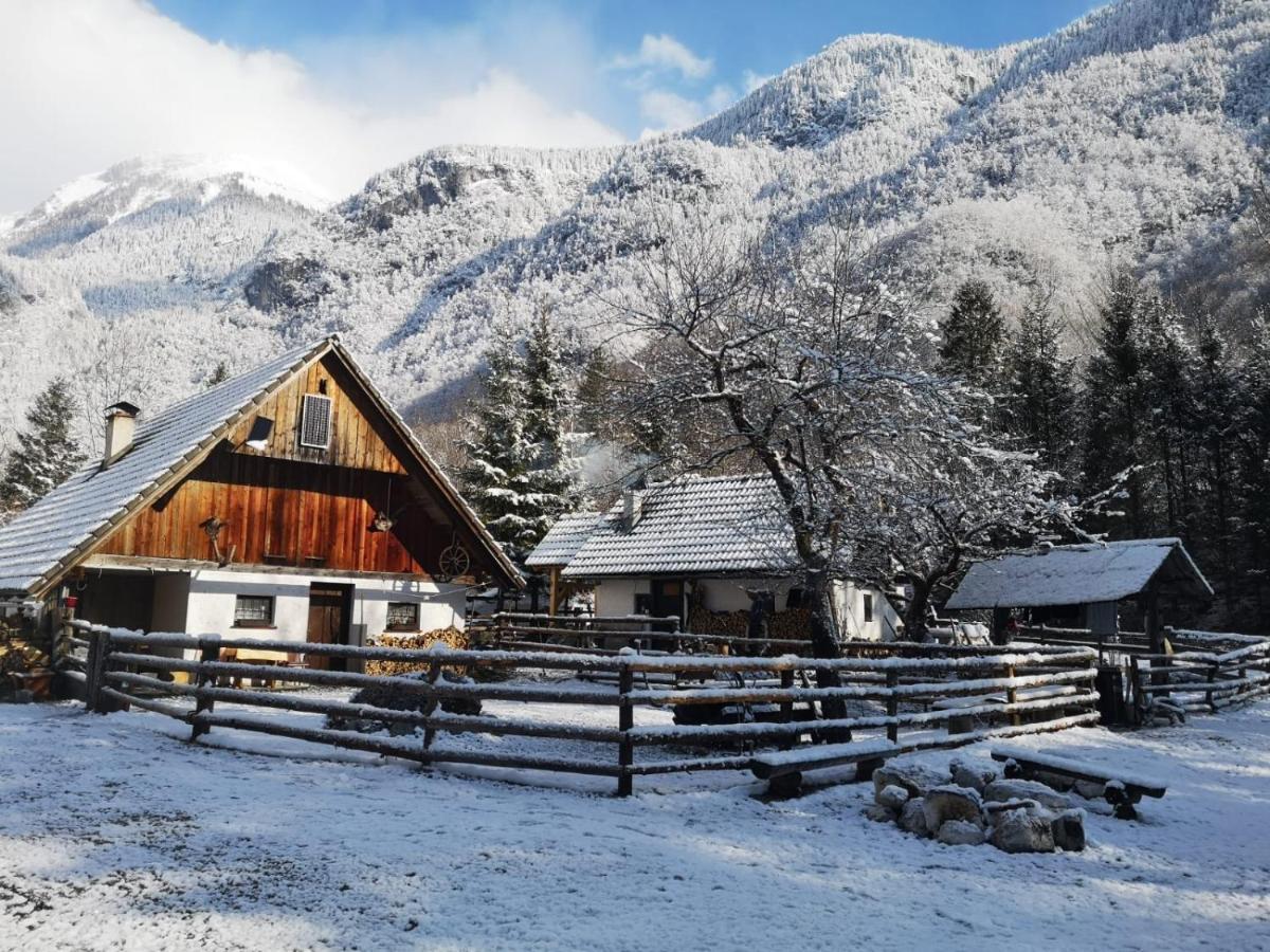 Lizina Hiska House Bohinj Villa Bohinjska Bistrica Exteriör bild
