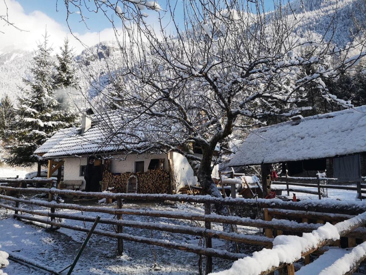 Lizina Hiska House Bohinj Villa Bohinjska Bistrica Exteriör bild