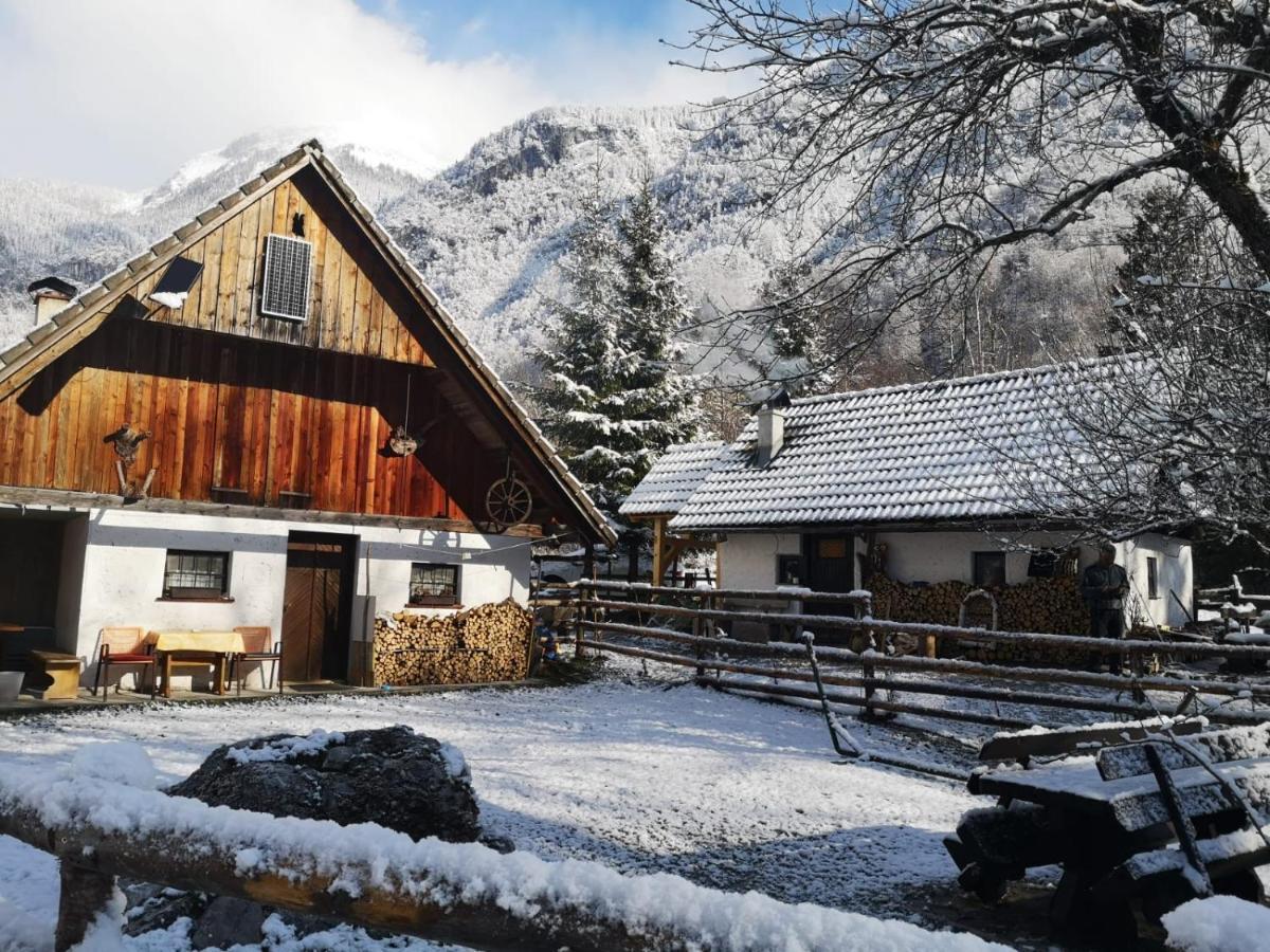 Lizina Hiska House Bohinj Villa Bohinjska Bistrica Exteriör bild