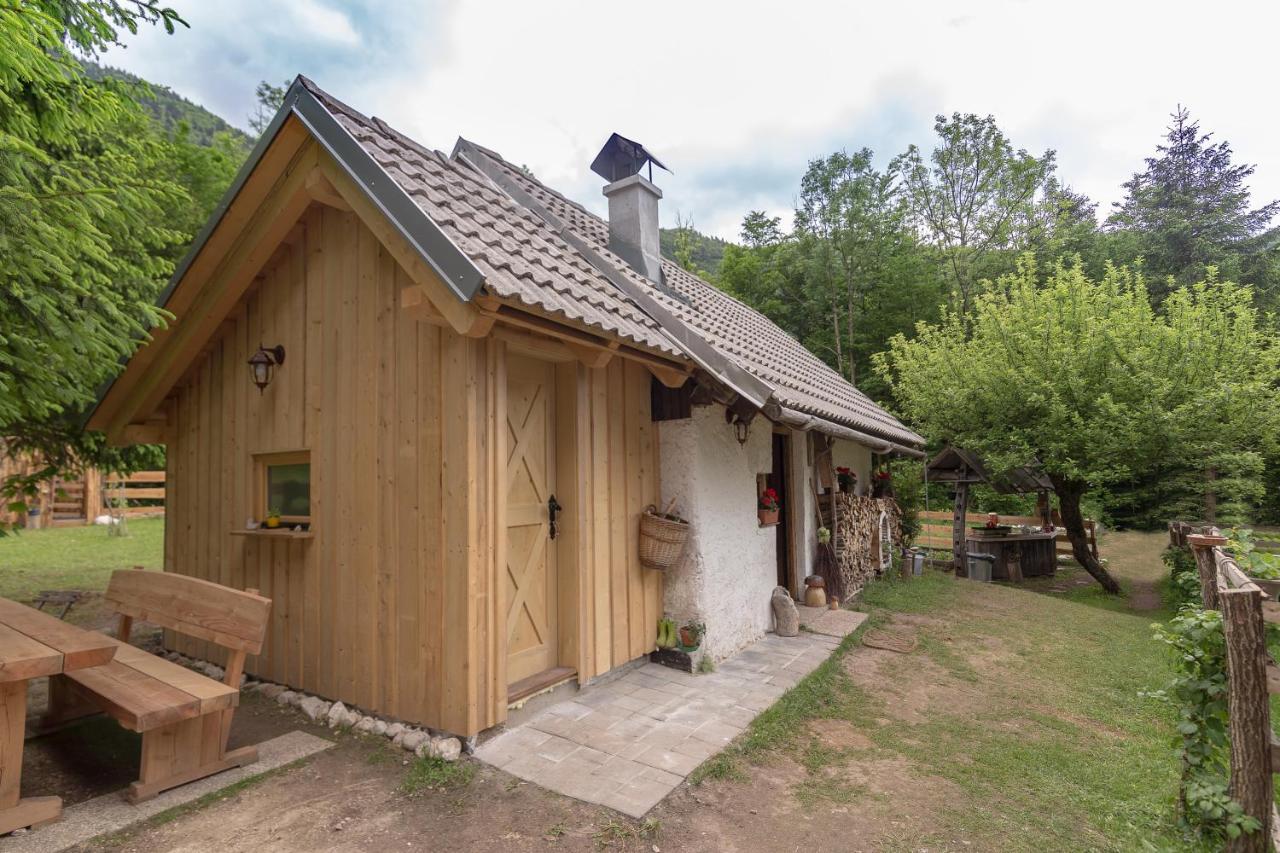 Lizina Hiska House Bohinj Villa Bohinjska Bistrica Exteriör bild