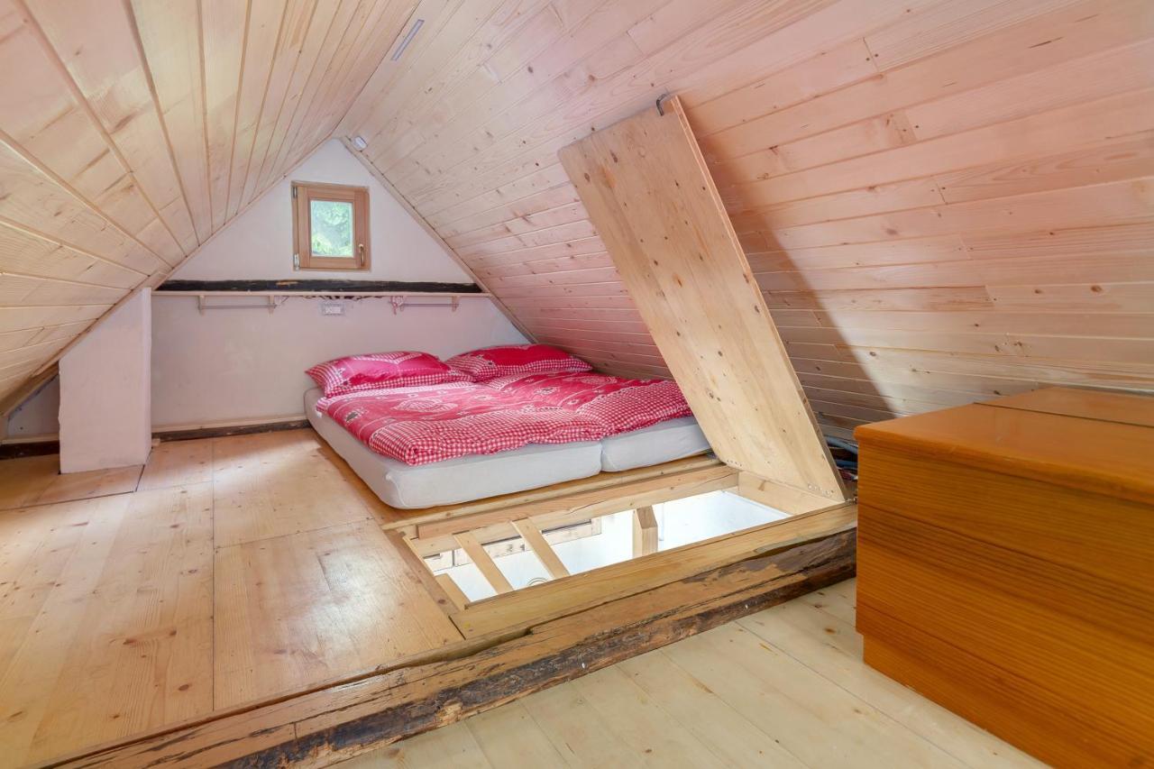Lizina Hiska House Bohinj Villa Bohinjska Bistrica Exteriör bild
