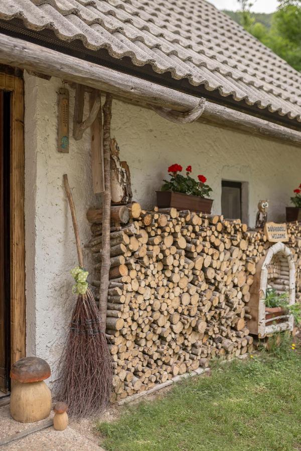 Lizina Hiska House Bohinj Villa Bohinjska Bistrica Exteriör bild
