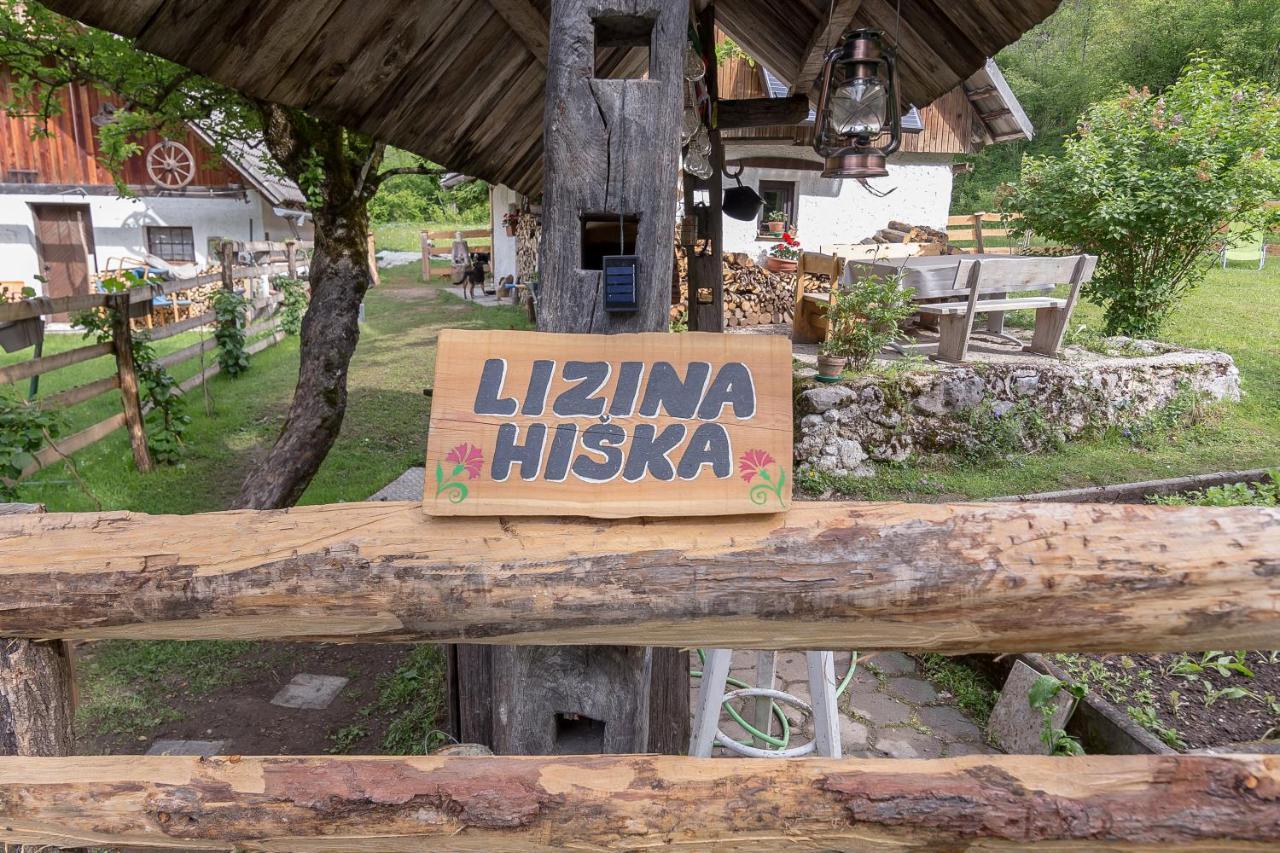 Lizina Hiska House Bohinj Villa Bohinjska Bistrica Exteriör bild