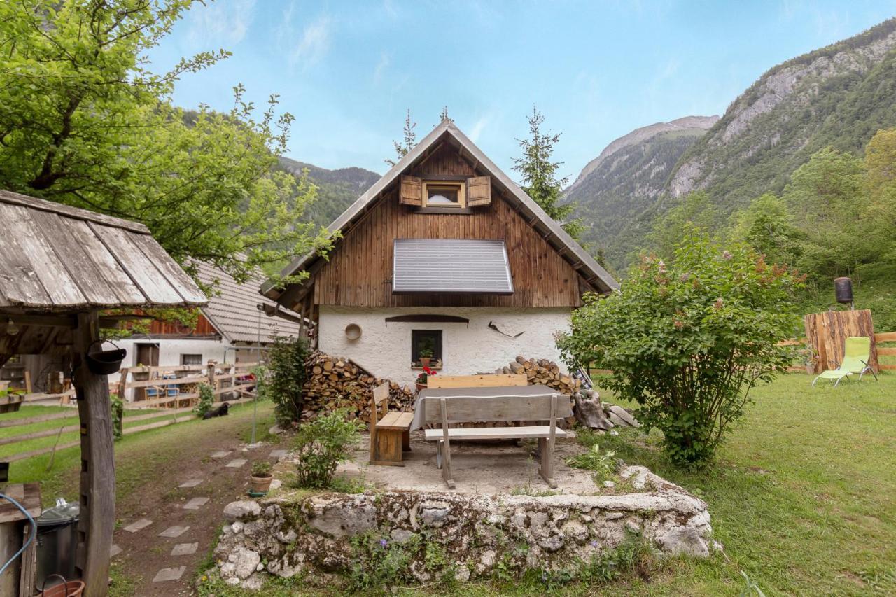 Lizina Hiska House Bohinj Villa Bohinjska Bistrica Exteriör bild